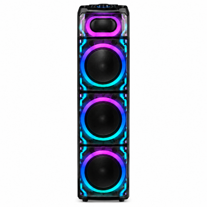 Meirende MRD-101010 Triple 10" Party Speaker System