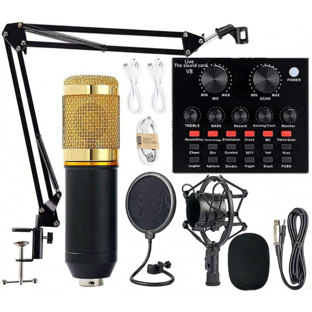Professional Microphone Kit with V8